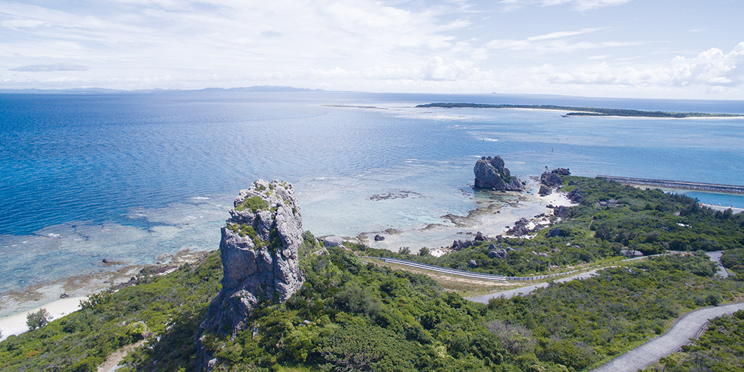 冲绳县指定天然纪念物 Akara御狱乌冈栎及琉球松等植物群落 写真