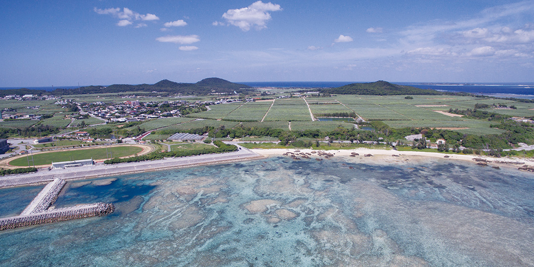 冲绳县指定天然纪念物 Akara御狱乌冈栎及琉球松等植物群落 写真