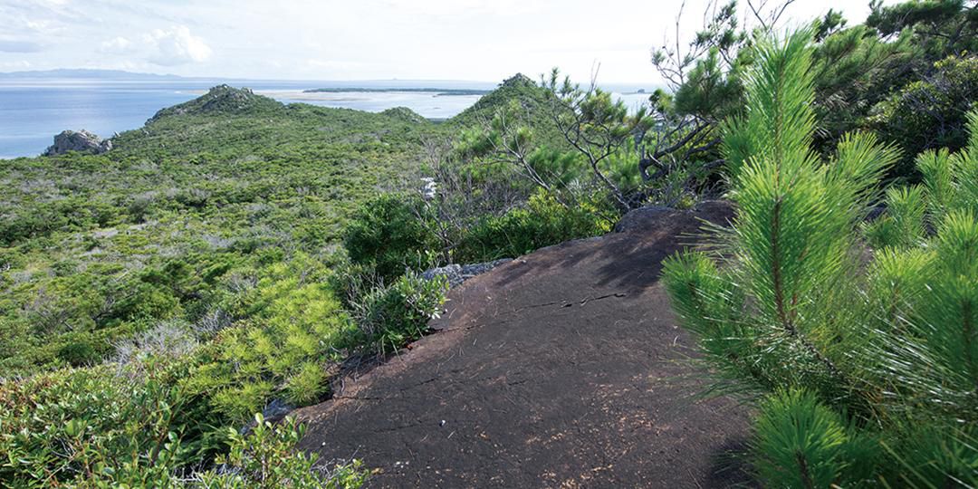 伊是名村指定史迹、名胜 具志川島遺跡の貝輪着装人骨 写真