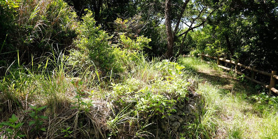 伊是名村指定史跡、名勝 Aaga山烽火台（狼煙台） 写真